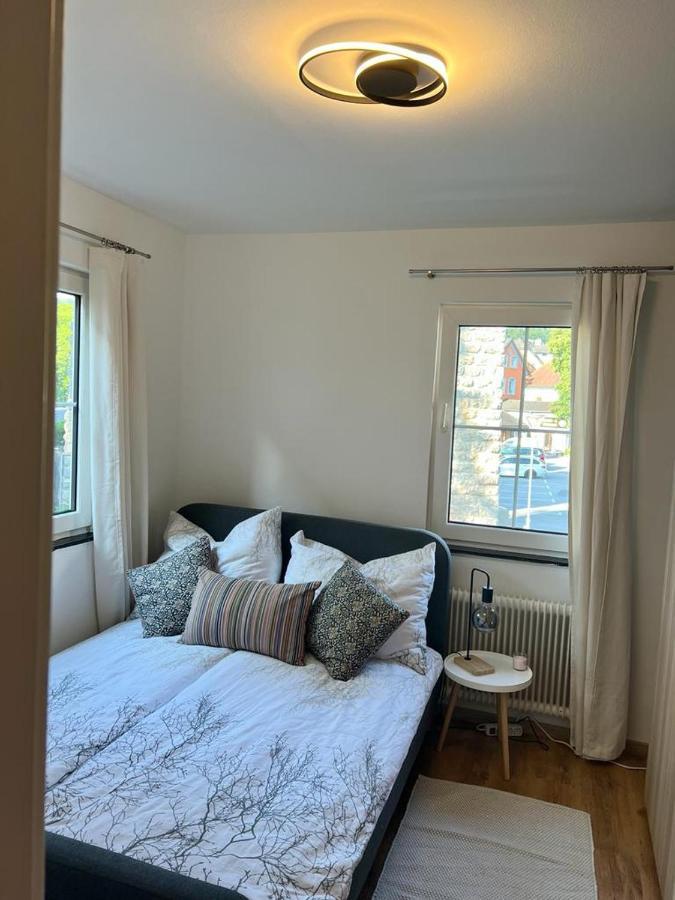 Moderne Ferienwohnung Nahe Zentrum Waidhofen/Ybbs 外观 照片