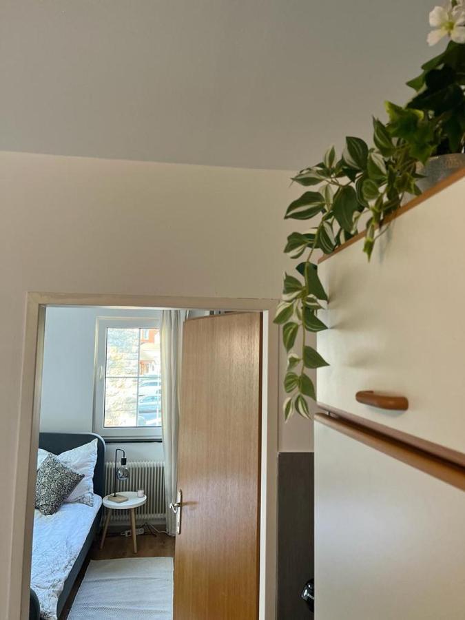 Moderne Ferienwohnung Nahe Zentrum Waidhofen/Ybbs 外观 照片